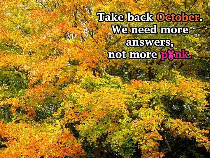 IBCResearch's tweet photo. We don't need more #pinkmarketing, we do need more education, research & support for #metastatic #lobular and #inflammatory breast cancers. It takes a village, so please join us and #TakeBackOctober! #bcsm https://t.co/RH7Q8b5148