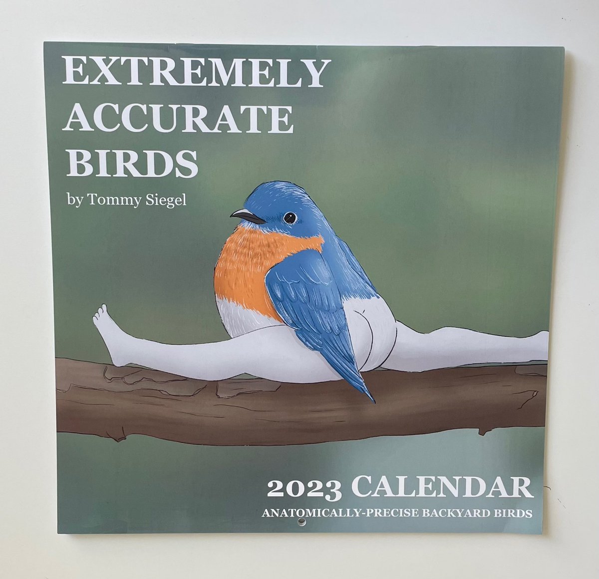 2024 First Edition - Precise Bird Stickers for Expert Birders (4-Pack) —  Tommy Siegel