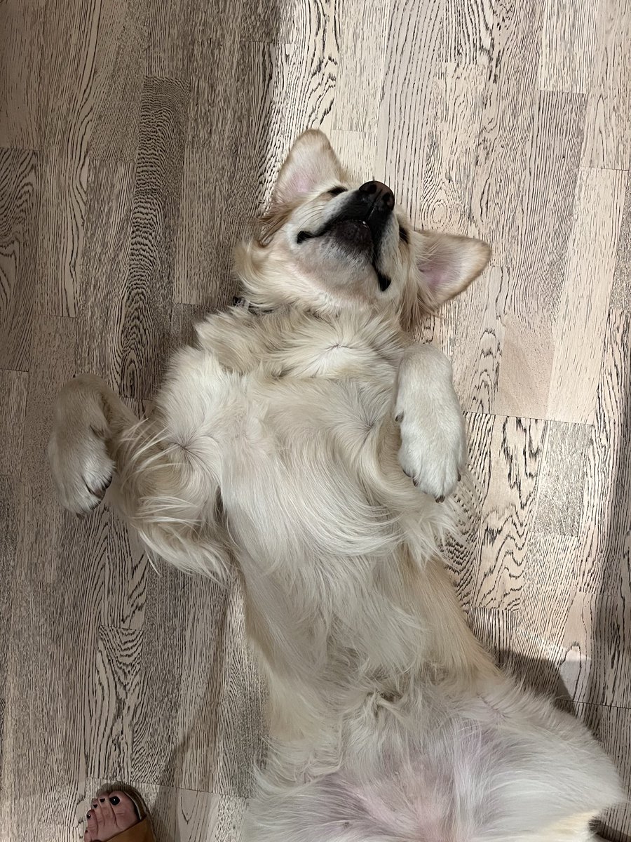 Kelly Thorpe tweet media