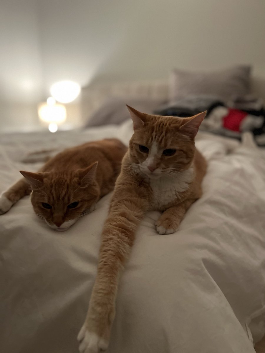 Kelly Thorpe tweet media