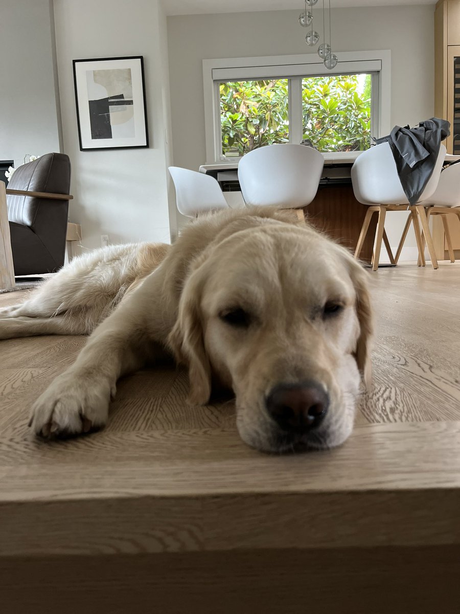 Kelly Thorpe tweet media