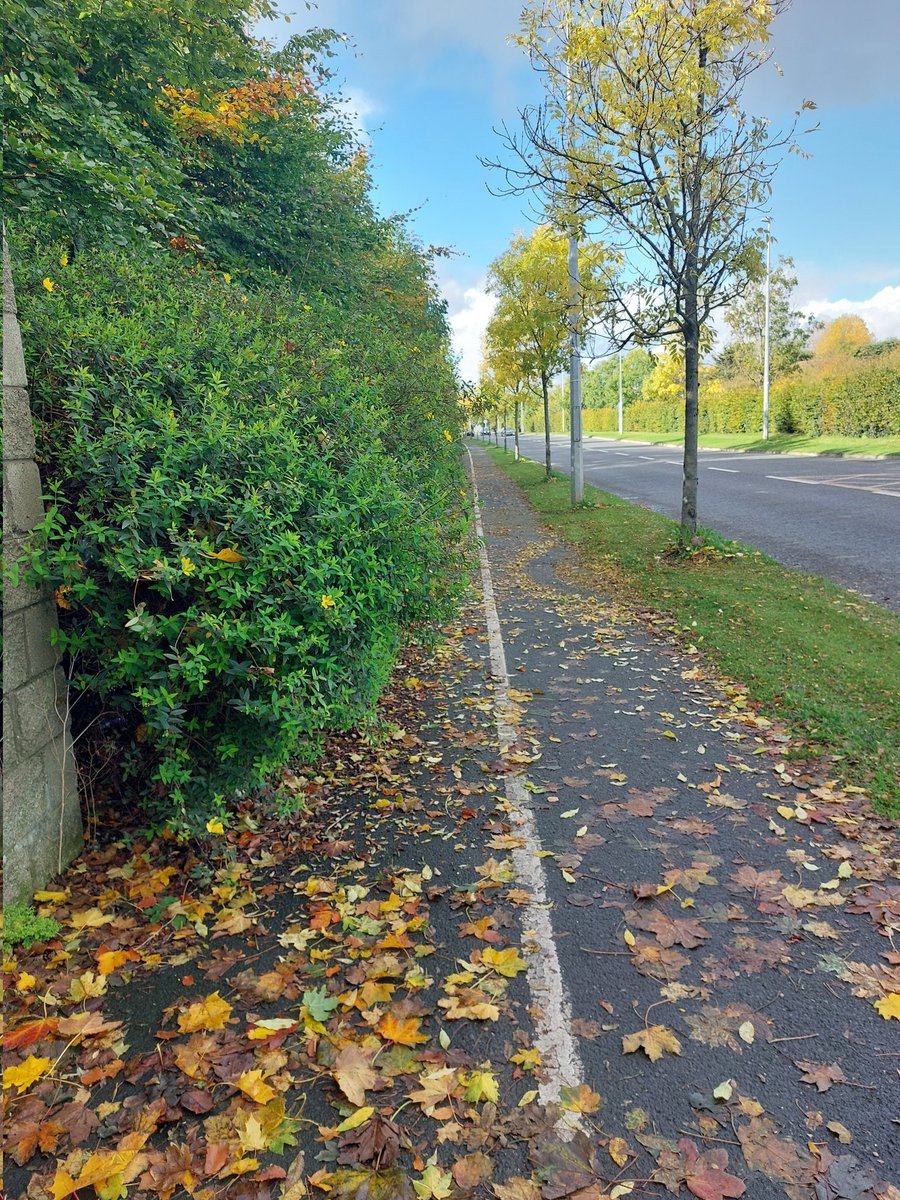 molzer13's tweet photo. @JohnLahart @Moyville16 @sdublincoco @JohnLahart @EdgeIndependent @ladublinoise 

Taken at same spot on Ballyboden Way today, pedestrian footpath covered over at one section.. Still not done https://t.co/MqCJPzxnJw