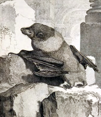 NatureYetu tweet media