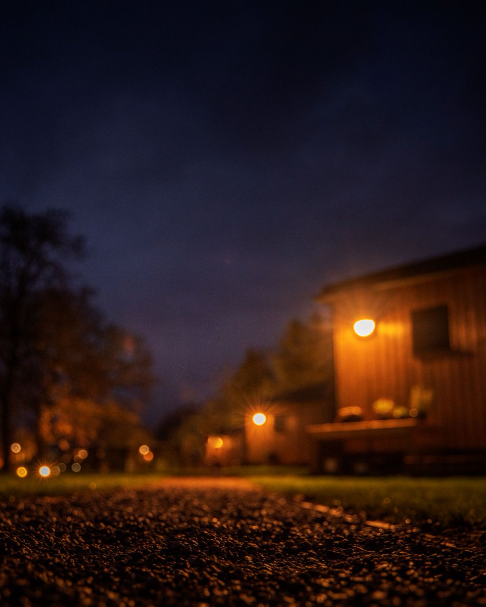 Riversidecabin1's tweet photo. Rare weekend availability from December, don't miss out! 🌲🍷🦉 #weekendavailability #weekednsatriverside #riversidecabins #breakaway #romantic #escape https://t.co/Qj9IzDGNqF