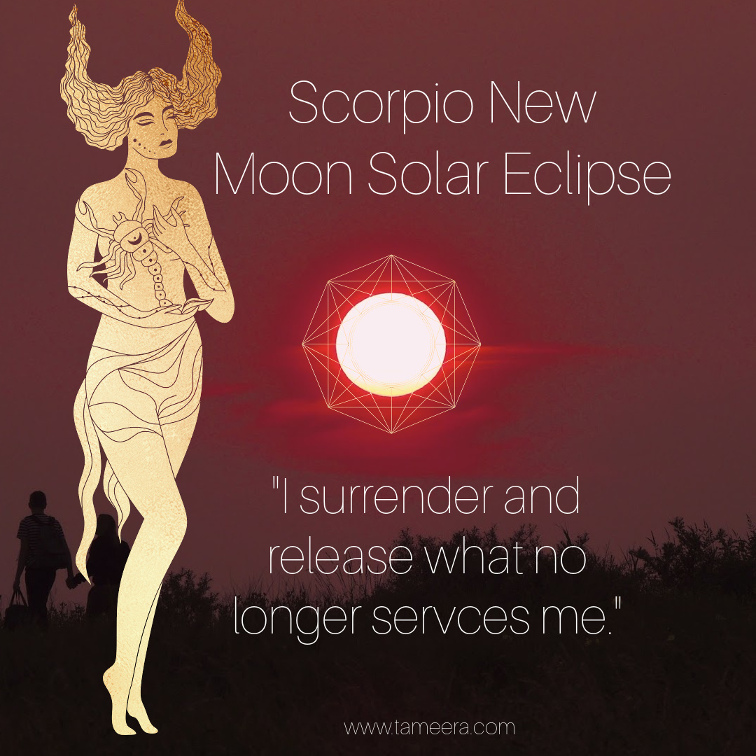 Tameera's tweet photo. https://t.co/g1M5fhRSxr Powerful Scorpio New Moon Solar Eclipse + new chapter! The 100-year-old profound shift happening now. #newmoon #scorpio #solareclipse #cazimi https://t.co/kgymTMKVB0