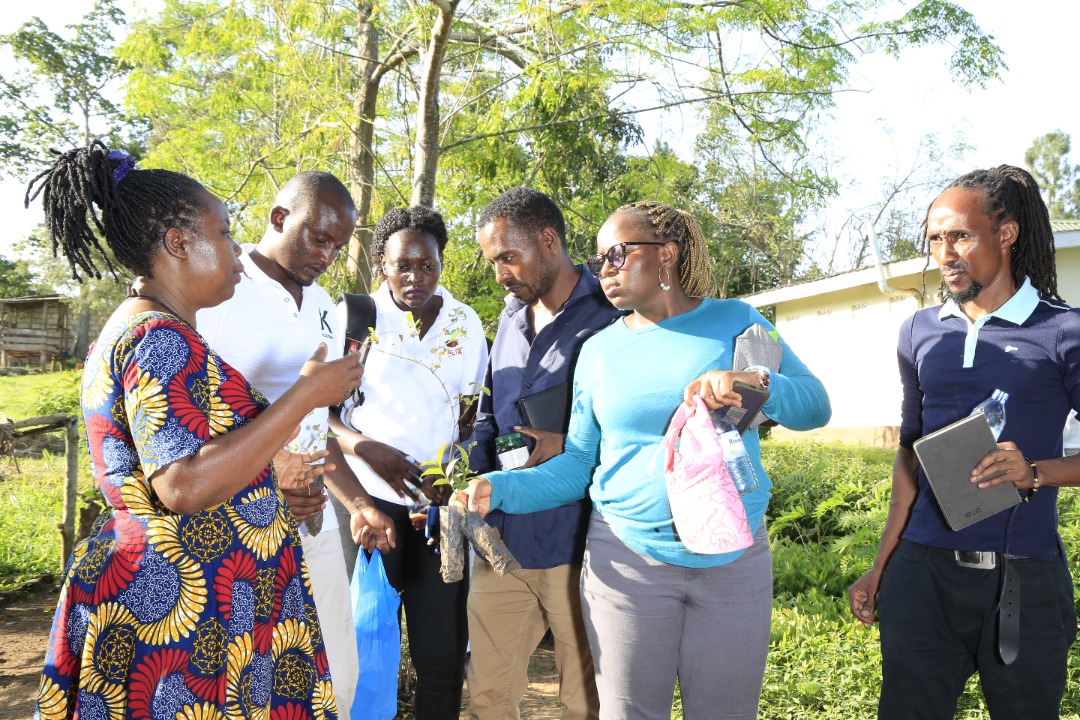 pelum_uganda's tweet photo. #YALTASummit2022  Day one 
Participants visiting Kulika Uganda Farms and Camelot Agroecology Farms in Wakiso today.
#AgroecologyWeek22 https://t.co/tZWk2voTnh