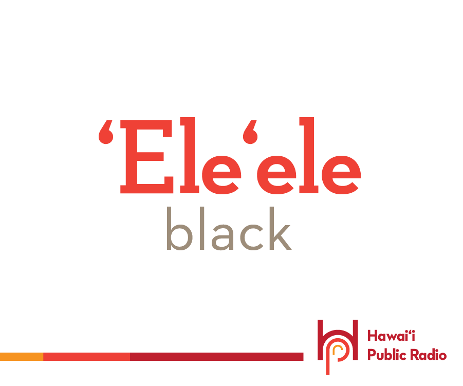 wearehpr's tweet photo. ʻEleʻele is the Hawaiian word for black. So anything that is black can be said to be ʻeleʻele. Yes, the place called "Eleʻele on Kauaʻi has the same meaning: black.
#HawaiianWordOfTheDay #eleele #ʻeleʻele #black #OleloHawaii #WordOfTheDay
https://t.co/j7U5w1GBK8 https://t.co/0a1CnBz92U