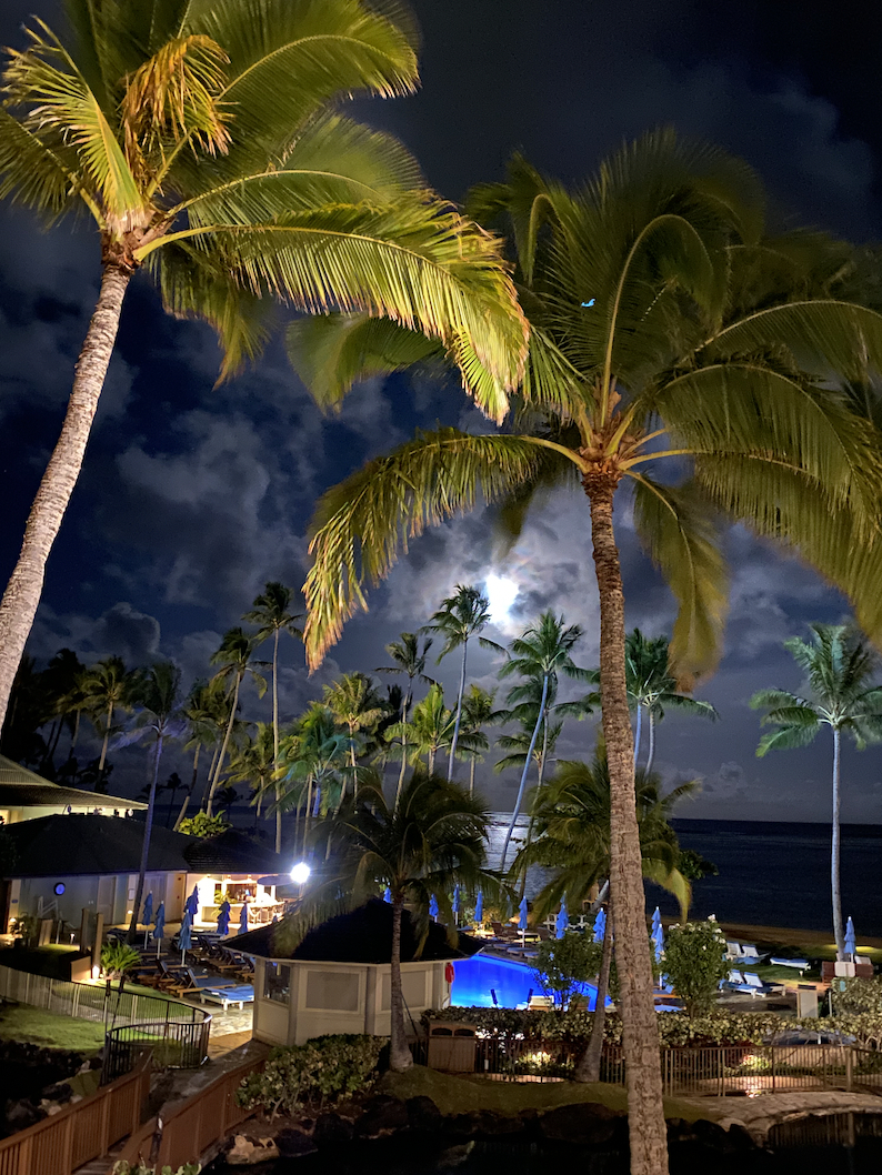 KahalaResort's tweet photo. Our night time views are just as spectacular as our ambiance. #nighttimeviews https://t.co/5q32JRRiat