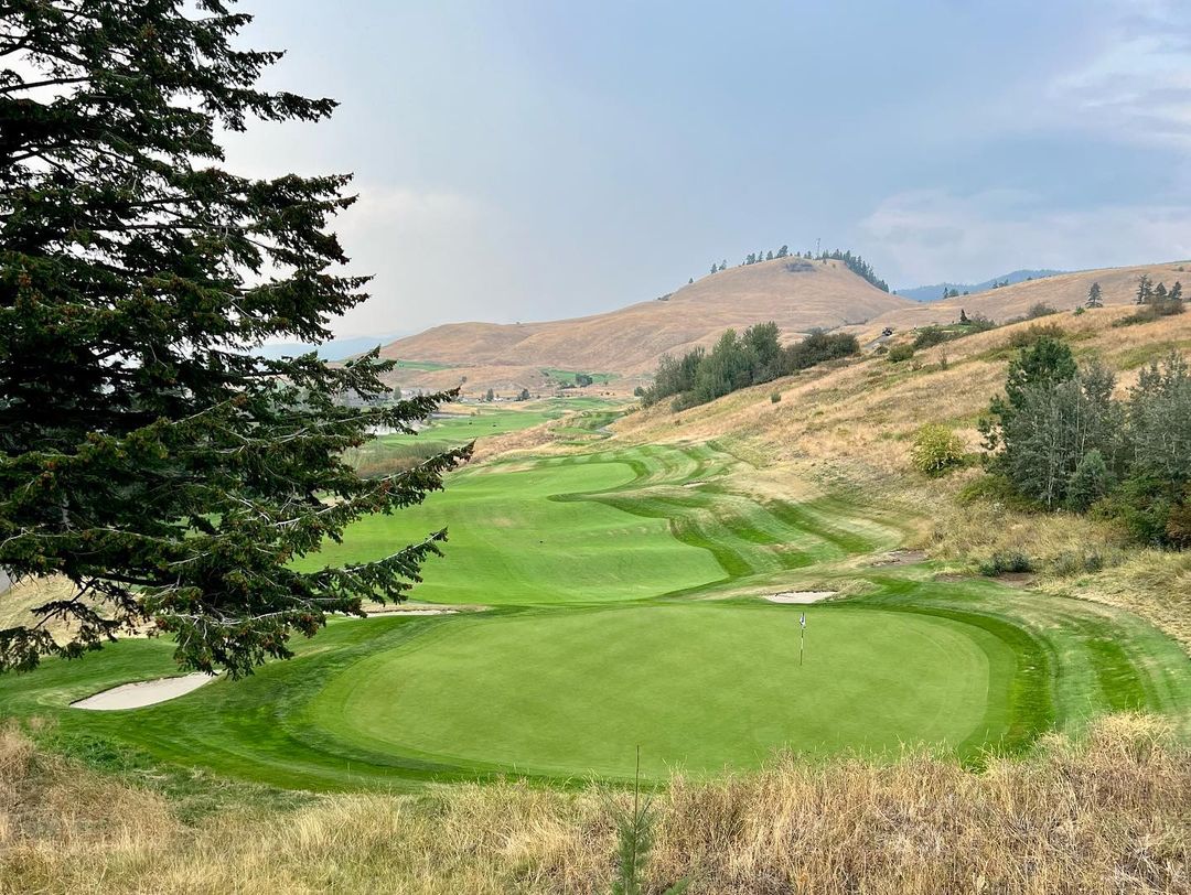 TowerRanch's tweet photo. A fairway that goes on for days 🤤
📷 @j.bgolfing - thanks for sharing!
#towerranchgolf #kelownagolf #scoregolf https://t.co/4RDnypEuwM
