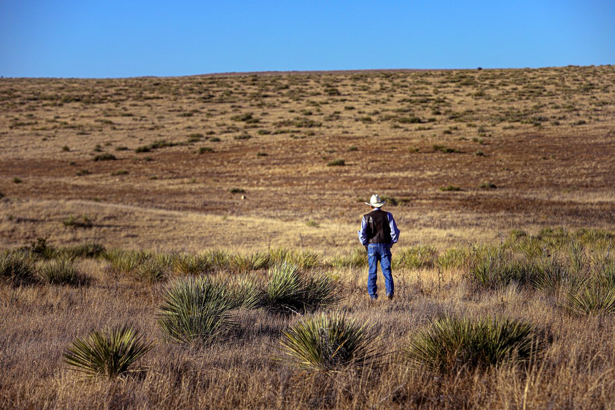 FriendsNmhm's tweet photo. Join us on YouTube 11/2 at 12 noon MT when writer Robert Nott &amp; photographer Gabriela Campos discuss what they discovered traveling the most historic trail in Mexican and U.S. history: SANTA FE TRAIL: 200 YEARS LATER. Register: https://t.co/i9ej3Sv5FY #NewMexicoTRUE #virtualevent https://t.co/eeb0gugbai