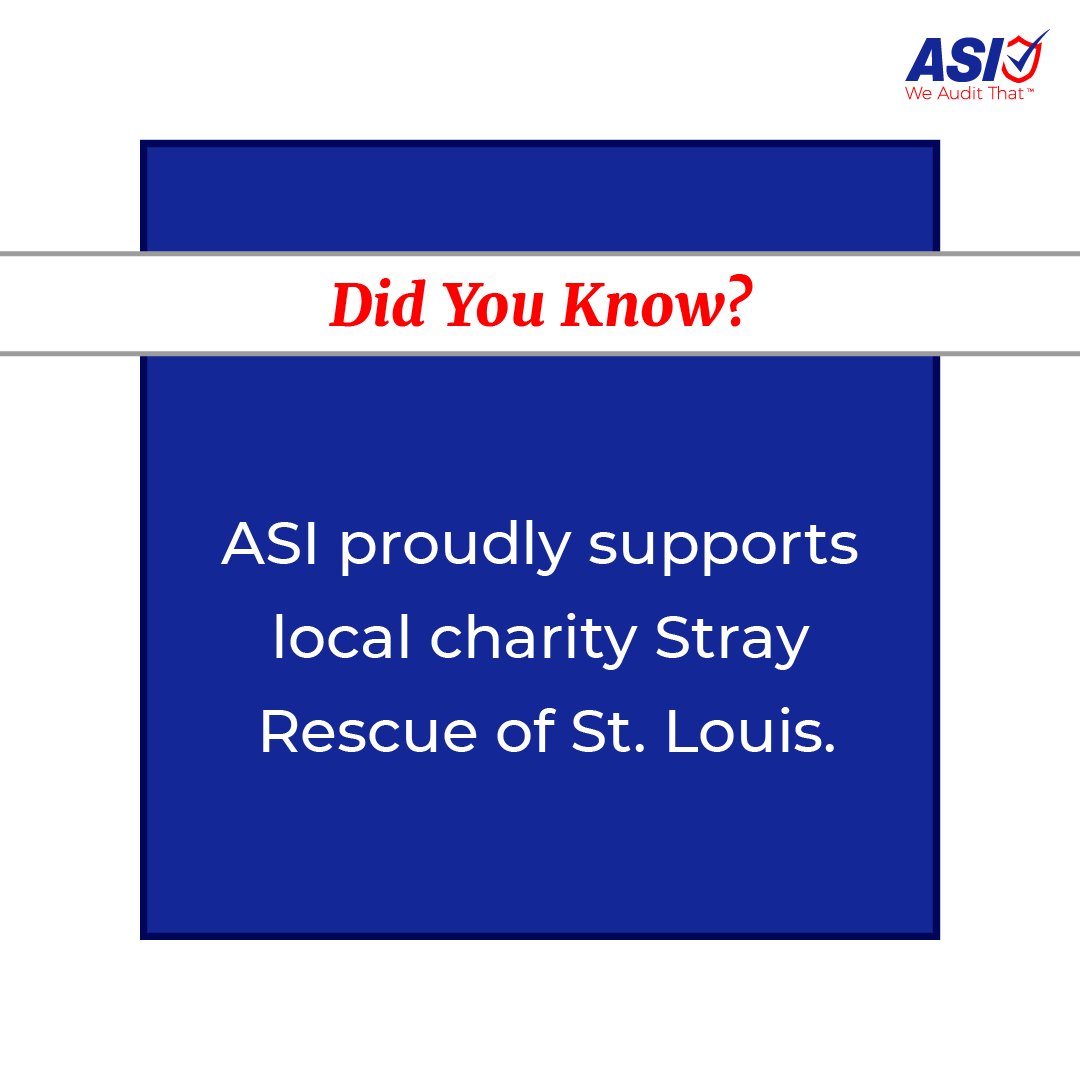 asifood's tweet photo. In honor of #NationalAdoptAShelterDogMonth, we're recognizing a local charity that's dear to our hearts: Stray Rescue of St. Louis, which is a 501(c)3 nonprofit no kill #animalshelter dedicated to rescuing injured and abandoned dogs and cats.

https://t.co/bOJrRBOit4 https://t.co/xPw5ujLGJE