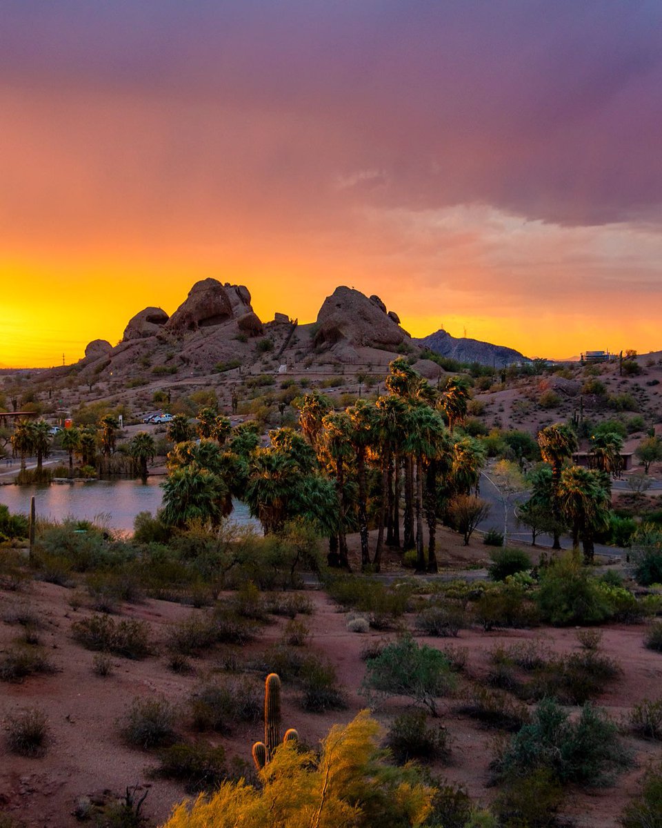 People always ask, “where’s the best place to see sunset?” The answer is: literally anywhere in Greater Phoenix. But, we compiled a list of the best spots anyway: bit.ly/SunsetsPHX 🌅 

📷: jochoa15
📍: Papago Park

#myphx
