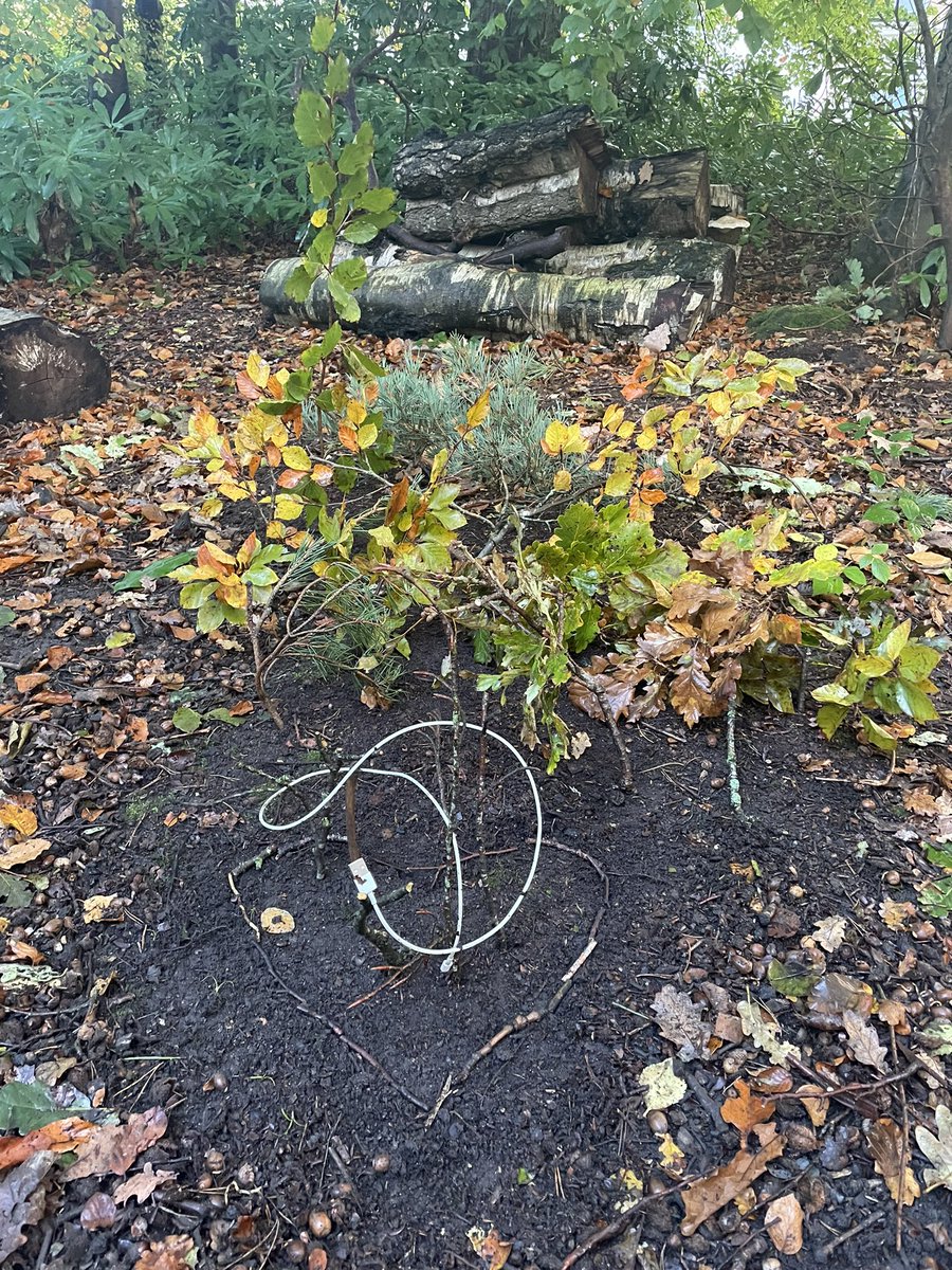 Eleanor Kilroy tweet media