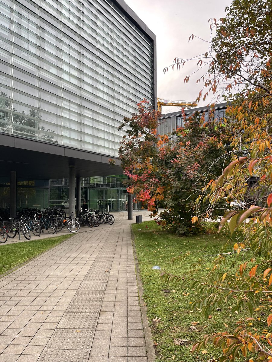 Stephan Pirnbaum tweet media