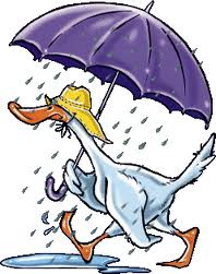 WashingtonNJRec's tweet photo. ALL Township Fields are CLOSED on 10/24/22 https://t.co/bsd54ZNASr