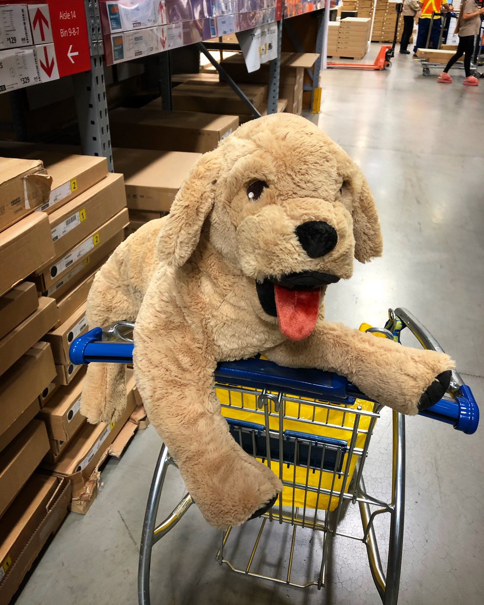 Alison Garwood-Jones tweet media