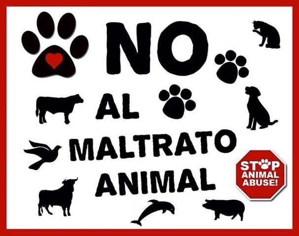 annaminivini's tweet photo. #24Octubre
#FelizTarde
#BuenasTardes
#FelizLunes
#FelizDia
#ATENCION
Darién
#Carabobo
ONAPRE
Remigio Ceballos
#NoAlMaltratoAnimal
#AdotaNoCompres
#BastaYa ayuda a que no sean maltratados porque tú eres su voz ya que ellos no pueden hablar #Denuncia🙏🏼🦮 https://t.co/Uhx4EsMsCr
