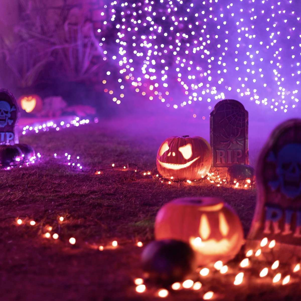 TwinklyLED's tweet photo. Only 7 days to go to Halloween 2022 😱
Have you already started decorating?
Don’t miss this chance, make your house the Scariest in the neighborhood with Twinkly!
#twinkly #twinklyLEDlights #twinklySmartLEDlights #twinklylights #twinklyforhalloween #halloween2022 https://t.co/abluivm88w