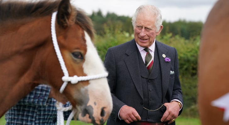 khalediskef's tweet photo. King #Charles_III decided to sell 14 racehorses he inherited from his mother, the late Queen #Elizabeth_II.
"What the king has done is not unusual," said Jimmy George, a spokesman for the Tattersalls auction house in Newmarket in Britain, adding, "They sell horses every year.
#UK https://t.co/SjPYSCxZNY