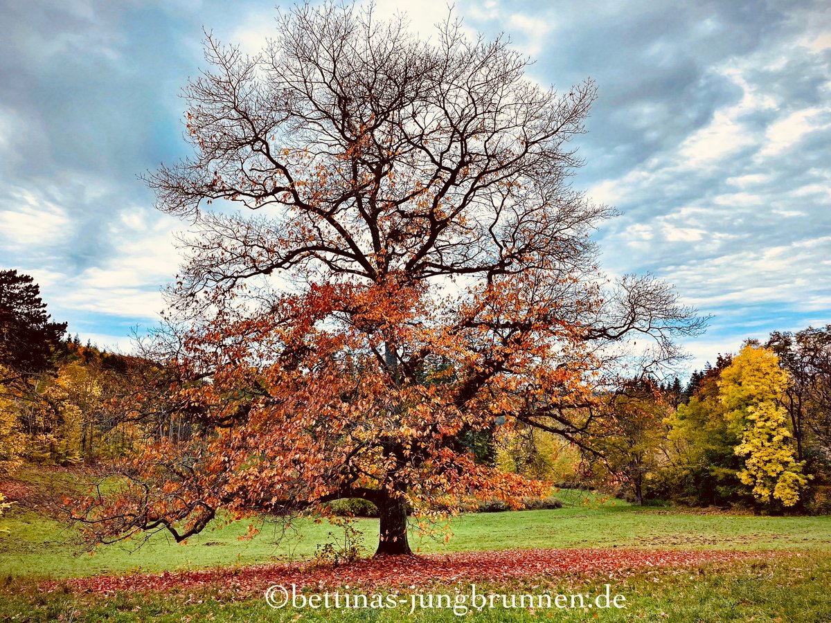 BJungbrunnen's tweet photo. Der #Herbst in seinem schönsten Gewand. Sonntagsausflug zur #Veste #Coburg und #Schloss #Callenberg.
#Kultur #Tradition https://t.co/YAm2NS6i2v
