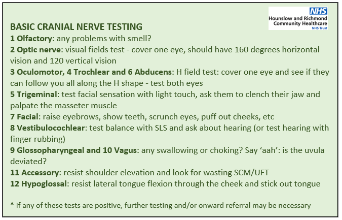 julia_tabrah tweet media