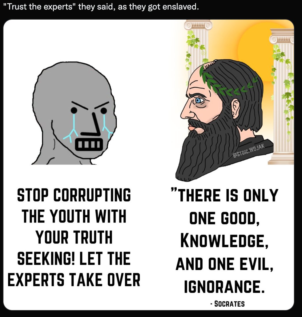 Man I am not sure if Socrates is quite the populist "against expert rule" hero our good friends at Western Trad Twitter want him to be.