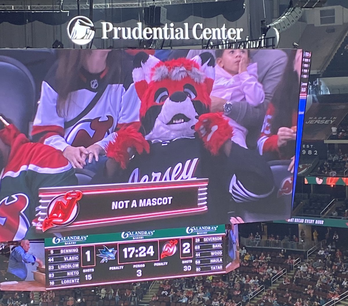 Zamboni Wolf 🐺 tweet media