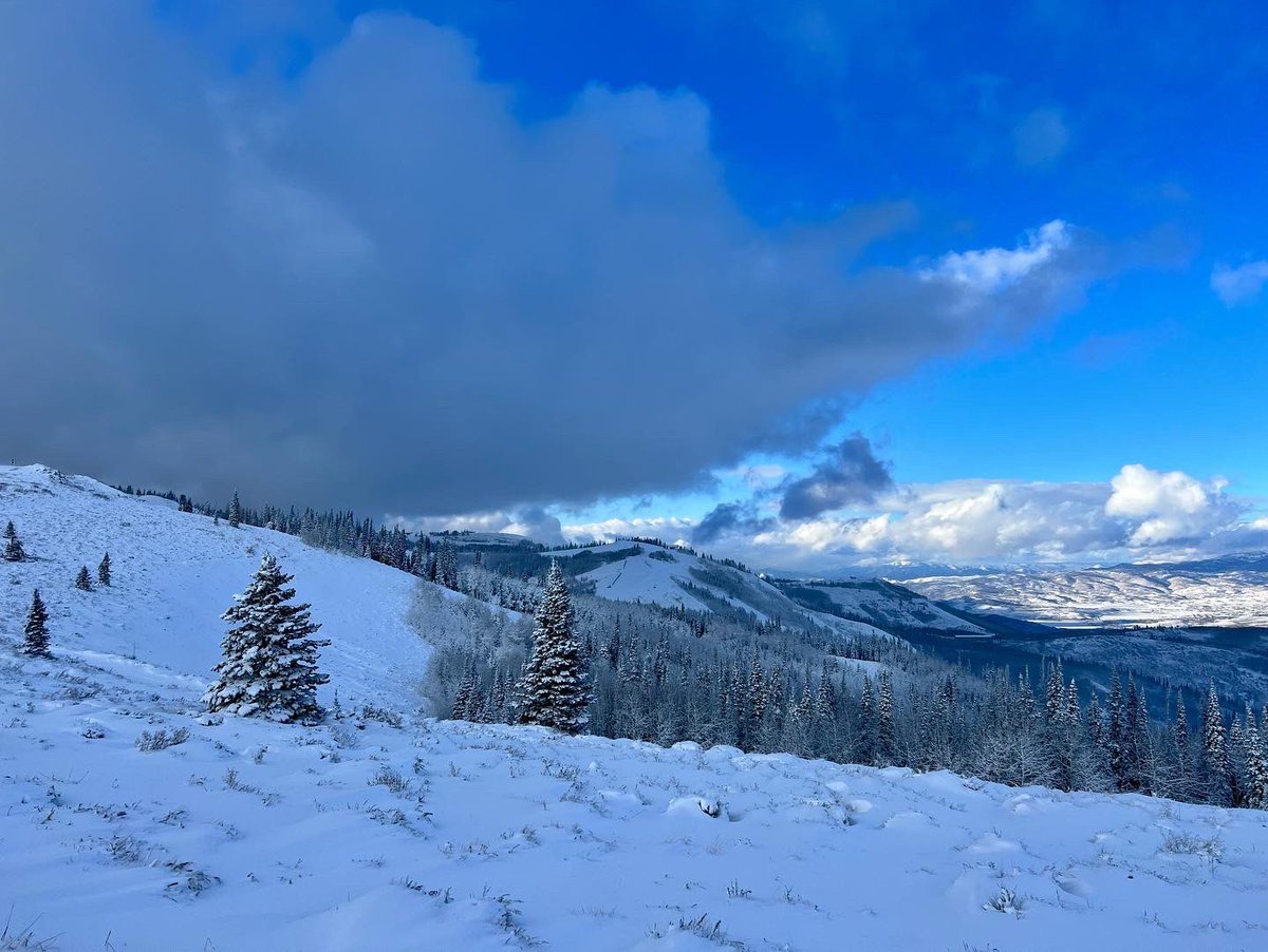 alarm_peak's tweet photo. We’ve had the first snow of the season here in the Wasatch! No need to worry though! With a monitored system from Peak Alarm Company, you can make sure your house and plumbing are nice and warm! We can even shut off your water main if leakage or flooding is detected! 800.444.7231 https://t.co/wx1YfOhcnE