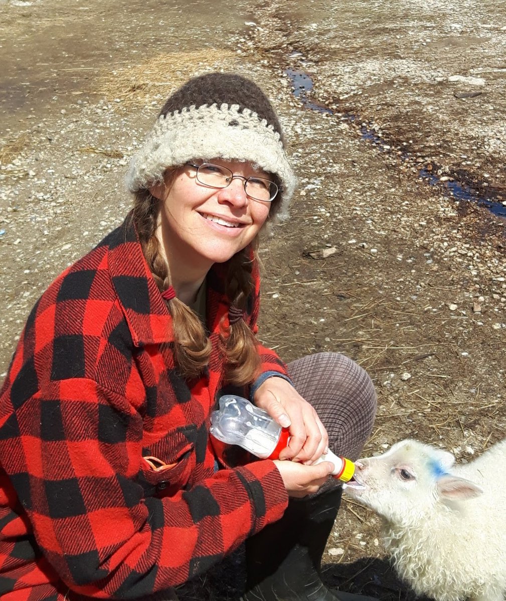 HarvestImpactGW's tweet photo. Did you know Canada produces approximately 1,200 tonnes of wool?🐑👩🌾
Learn how @allsortsacres is using unwanted wool and a loan from Harvest Impact to build soil health: https://t.co/9f2uwyyy0l
#socialfinancing #circulareconomy https://t.co/6aY8mk0PBc