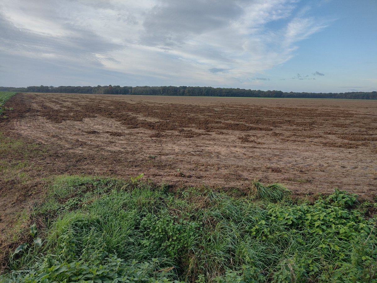 Agrimaman71 tweet media