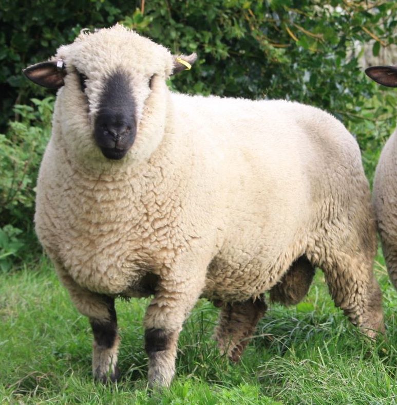 Judith Galbraith tweet media