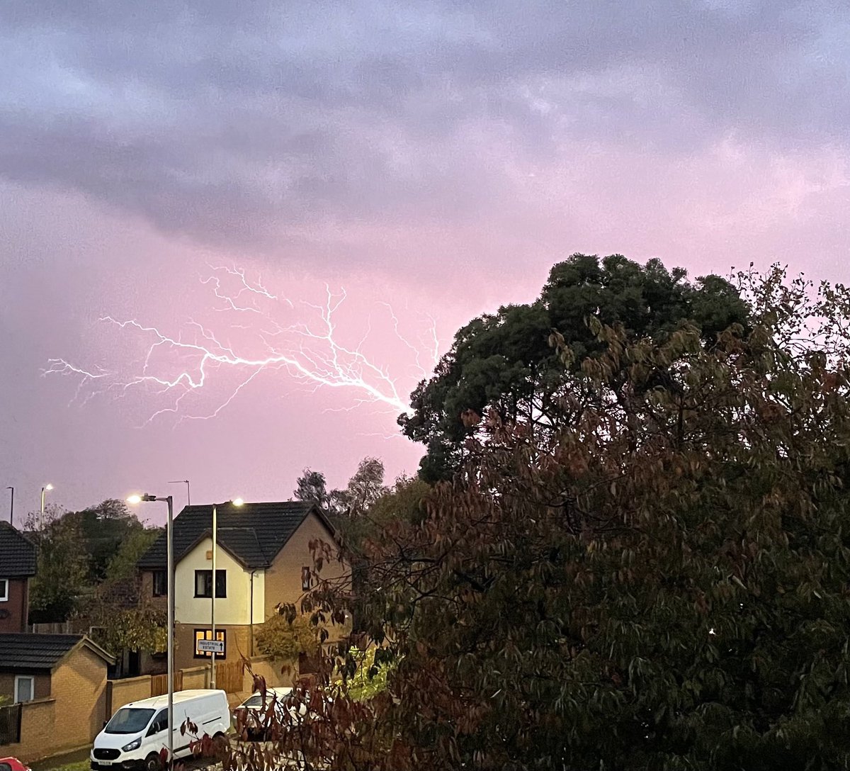 Mark Laybourn tweet media