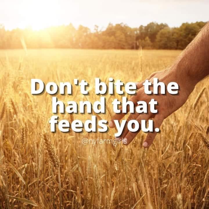 WeGrowOrganic (@wegroworganic) on Twitter photo 