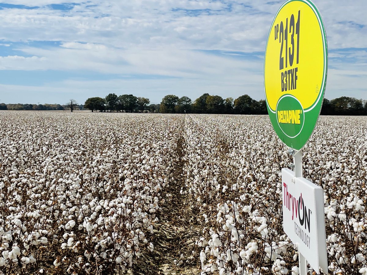 WesSRodgers1's tweet photo. This. Technology. Is. Amazing #ThryvOn #Deltapine #DPL2131 https://t.co/0FrVSzoKzR