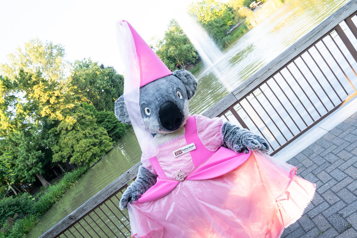 👑 Princess Sydnee Koala invites you to take a spin on this 1914 Mangels/Illions Carousel during your upcoming Boo at the Zoo, presented by @Wendys visit. It is a regal experience for royals of all ages! bit.ly/3Q1FSuA