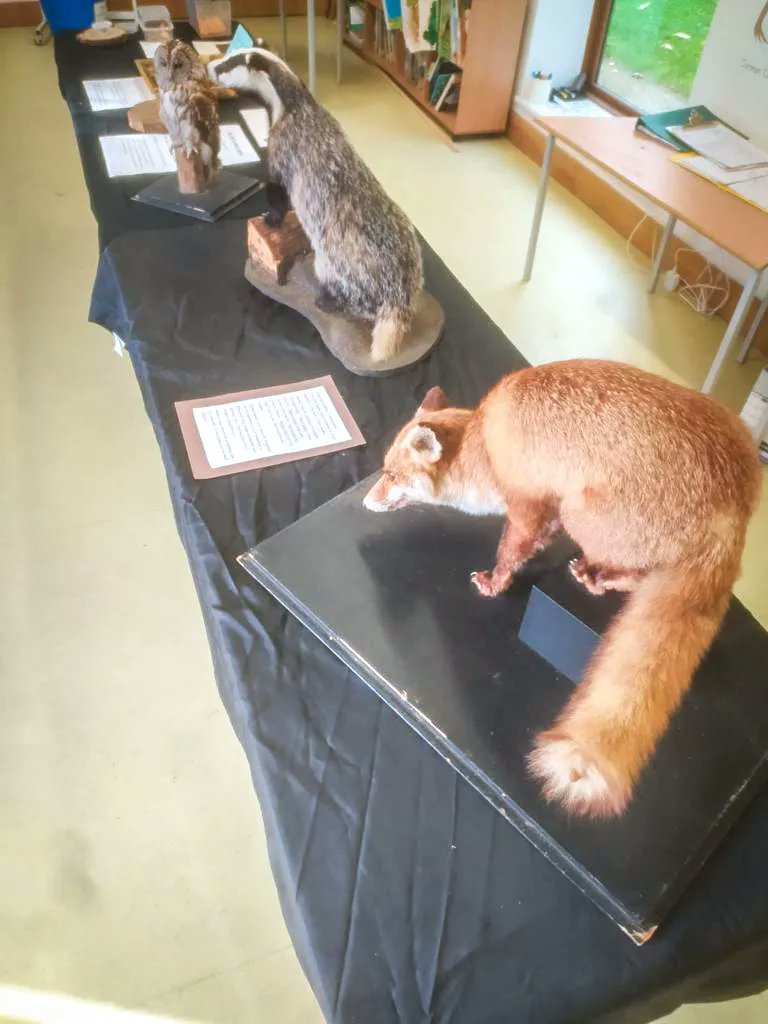 BBOWT's tweet photo. All set for our half term hedgehog events this week! 😁 

We've got spine-tingling sessions happening in Oxfordshire and Berkshire, and other adventures in Buckinghamshire - check out our events page and find the fun near you! https://t.co/h3gc5GMmao 

📷 Susannah Bury https://t.co/SebNA6DOmU