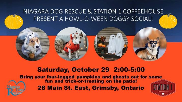 Please join us for a HOWL-O-WEEN Doggy Social at <a href="/station1coffee/">Station One</a> 

Saturday, October 29 from 2:00-5:00. 

Will be Spooktacular!!!! 👻🎃🐾