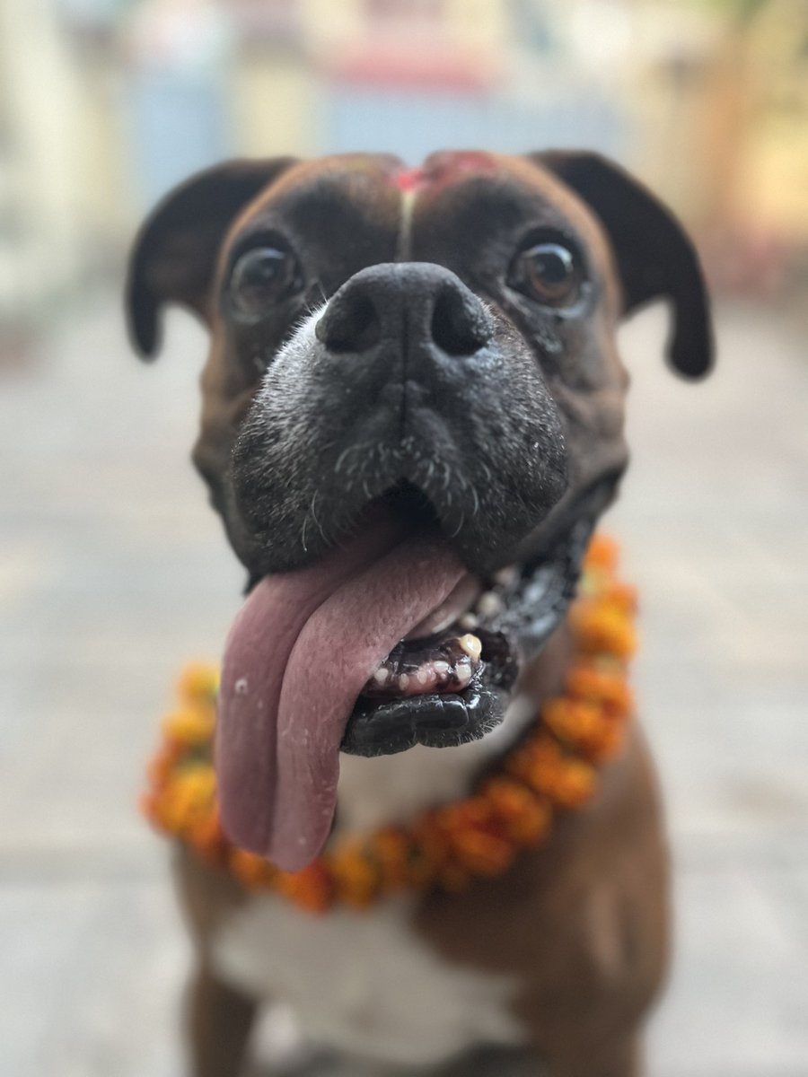 ADhewaju's tweet image. 