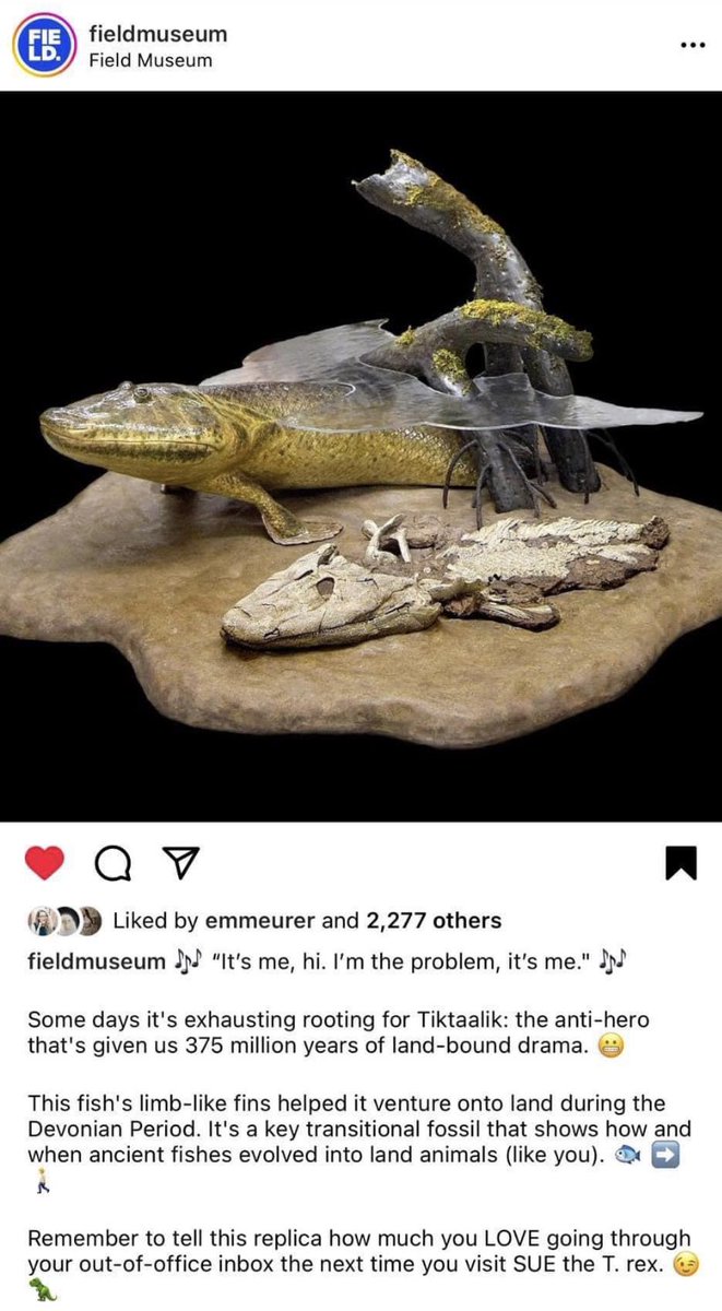 Nicely done <a href="/FieldMuseum/">Field Museum</a> 👏🏽👏🏽👏🏽 on point as always