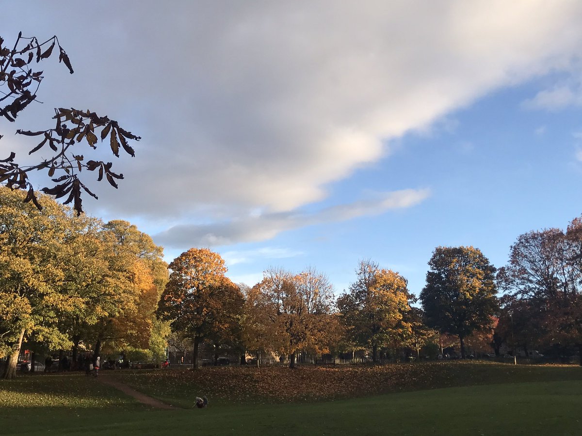 Not quite the impact of the cherry blossom but autumn colours are particularly gorgeous on the Meadows this year 😍
