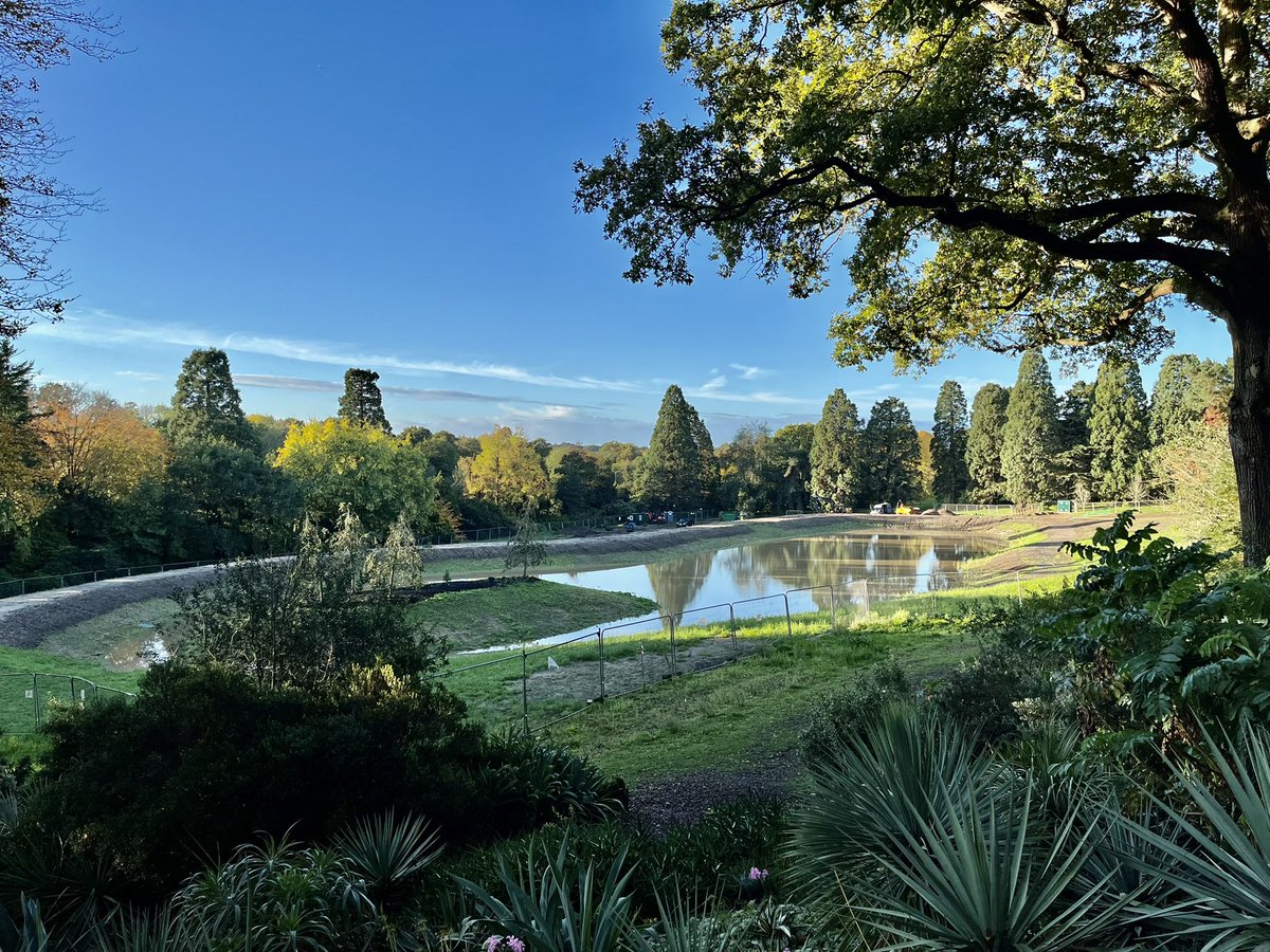Matthew Pottage (@matthew_pottage) on Twitter photo Wow, well those downpours over the weekend really made a difference! Look at those beautiful reflections already! (The new rainwater capture lake <a href="/RHSWisley/">RHS Garden Wisley</a> which will hold 9,000m3 when full and is connected to the garden irrigation system). 💧🌱 Wow, well those downpours over the weekend really made a difference! Look at those beautiful reflections already! (The new rainwater capture lake <a href="/RHSWisley/">RHS Garden Wisley</a> which will hold 9,000m3 when full and is connected to the garden irrigation system). 💧🌱