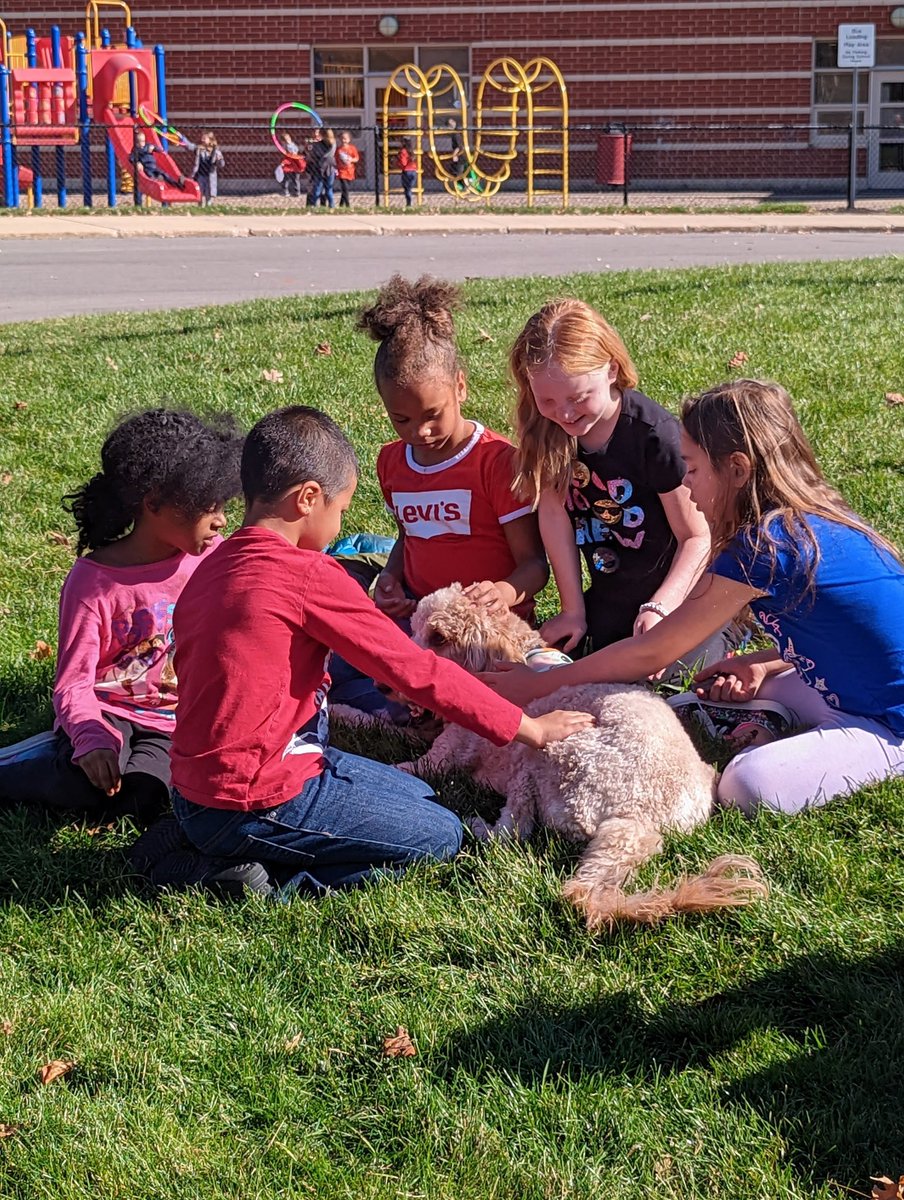 Mrs_Klein_WCS's tweet photo. It’s the perfect fall day for a Harper rub!!! 🧡 #LincolnPrideWCS @warrenschools https://t.co/DXYMgJTfKr