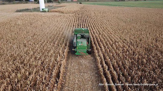 Kukurydza na ziarno w gospodarstwie Spichlerz Jaskóły kombajnem <a href="/JohnDeere/">John Deere USA</a>  T670i
