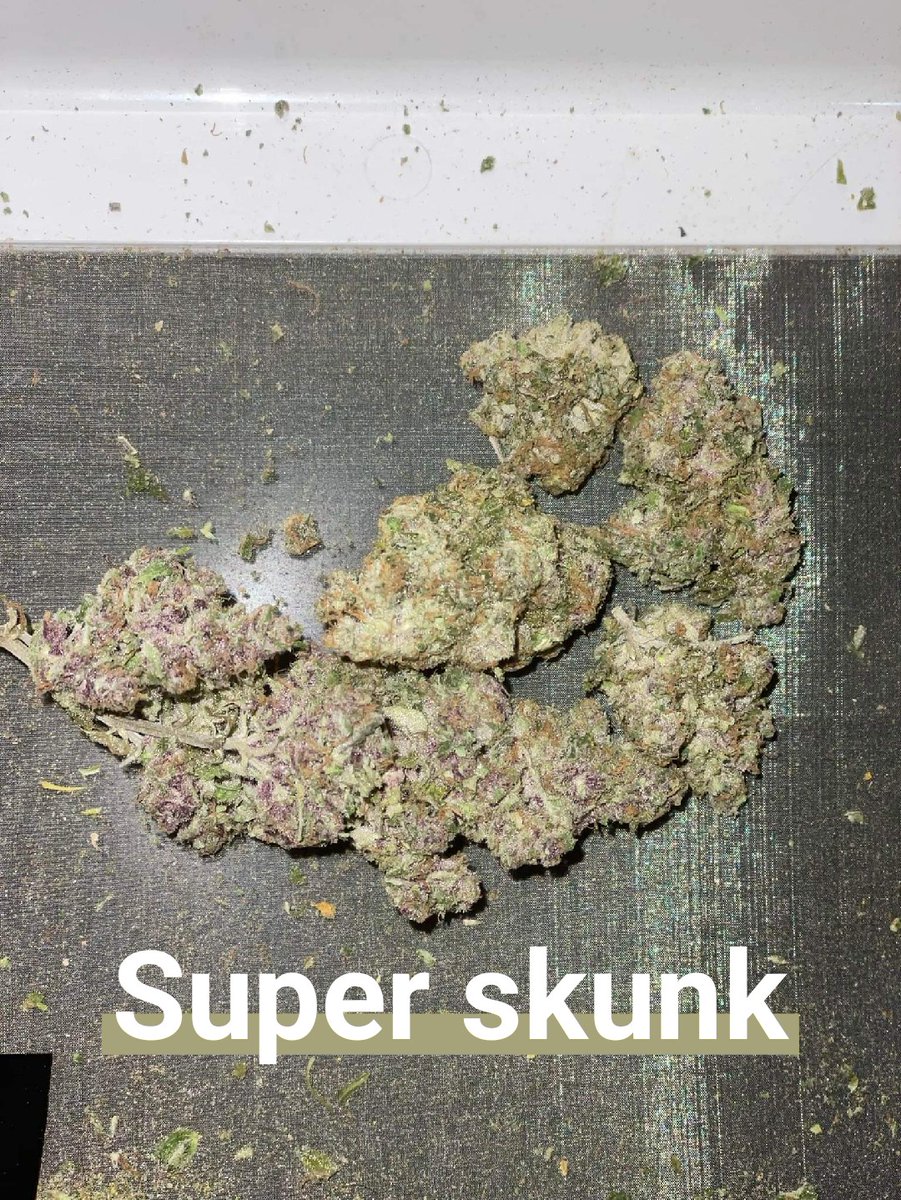 CCT MisterThree tweet media