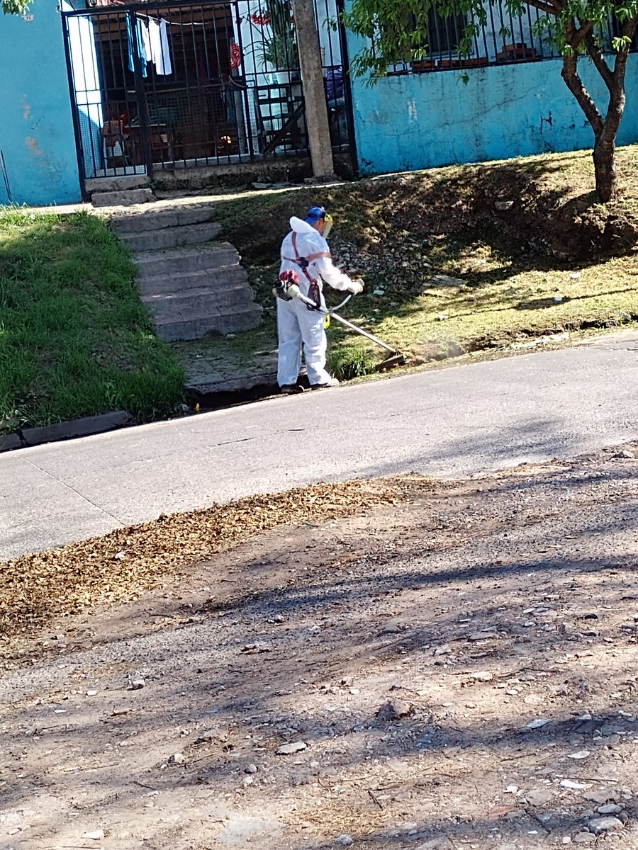HectorN03153374's tweet photo. Hoy #EQUIPODGGIS con la cuadrilla de #Saneamiento en #BarrioINTA y #Barriofatima se realizó fumigación manual, fumigación móvil, corte de pasto, e Hidrolavado desinfeccion
@martingospedini
@Salas_Gabriel
@MariaMigliore
@gabimraida https://t.co/ubkbyKPMSP