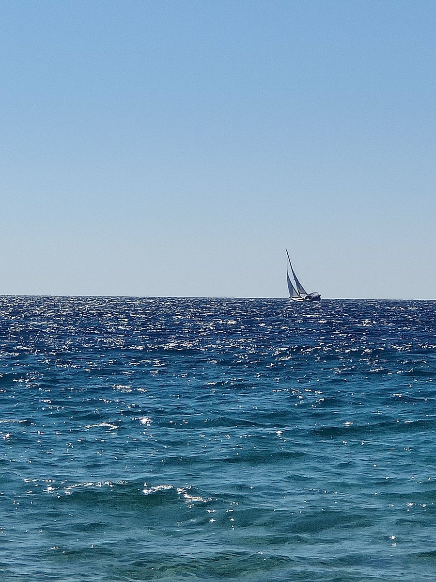 Ali Whelan - Career Coach & Trainer tweet media