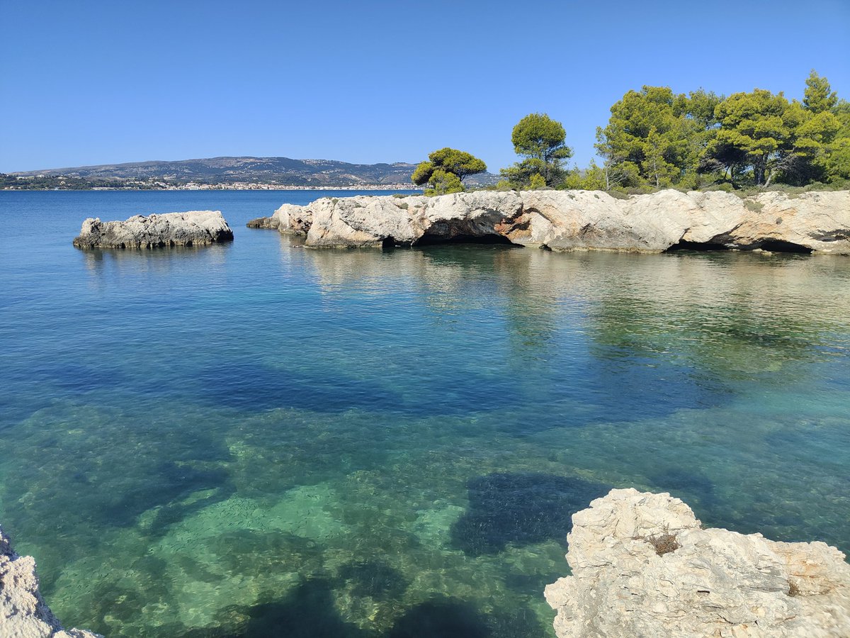 Ali Whelan - Career Coach & Trainer tweet media