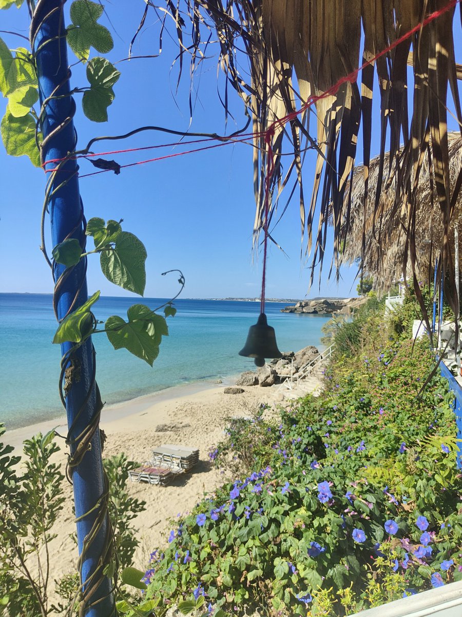 Ali Whelan - Career Coach & Trainer tweet media