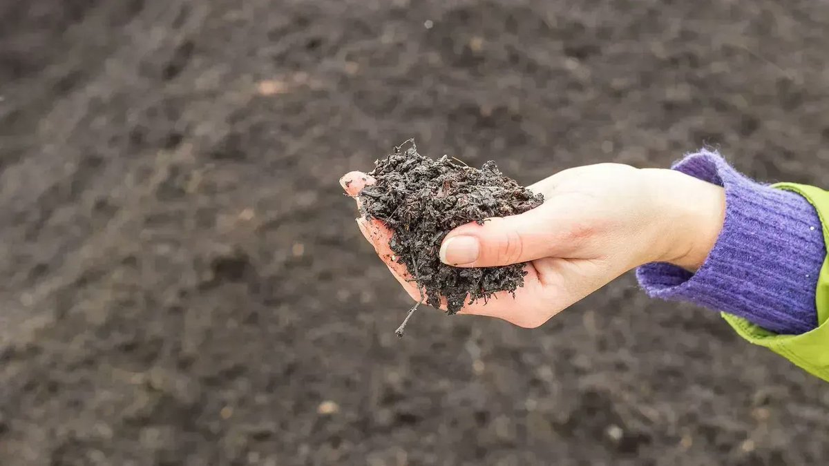 Guest post: Testing how the latest climate models simulate global soil carbon | @rebecca_varney_ @coxypm @UniofExeter Read here: bit.ly/3TNhvTp