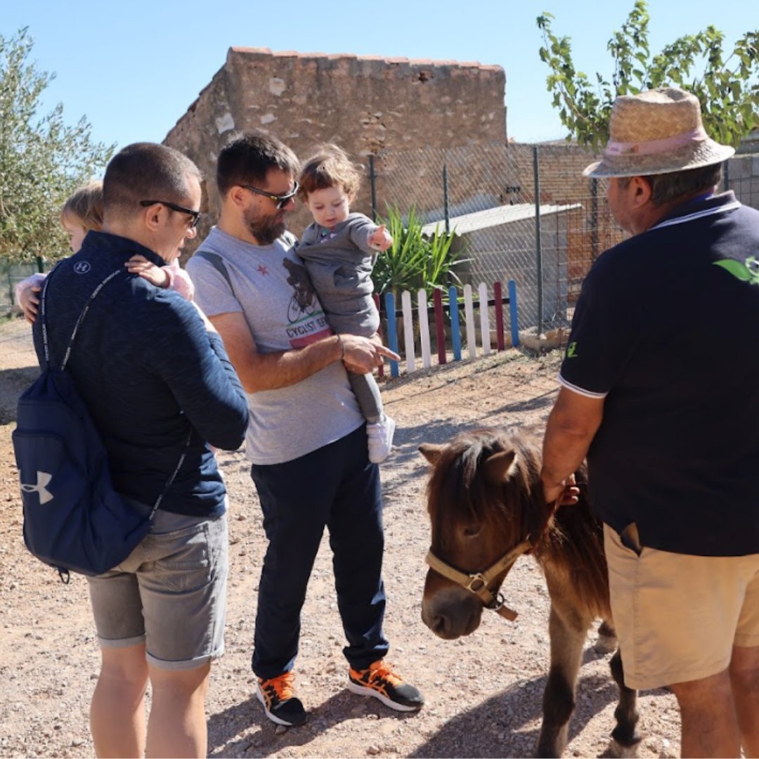 Les visites són una gran oportunitat per comprar directament als productors i productores, omplir el rebost i viure una experiència que posa de manifest la importància de la feina que fa cada dia la pagesia 🧑‍🌾 💛